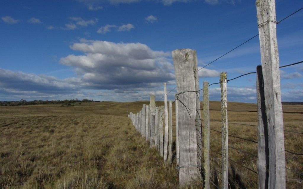 pampa terre de feu steppe fuégienne patagonie colonisation exploration peuples autochtones