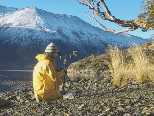 Vagues, vents, animaux… En Patagonie, elle collecte les sons d’un monde oublié (Géo Aventure, par Sébastien Desurmont, 6 mars 2020)