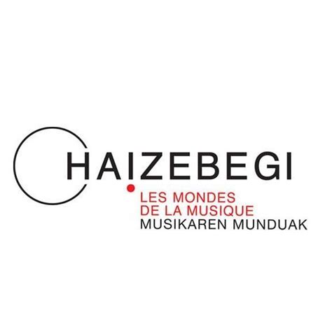 logo haizebegi