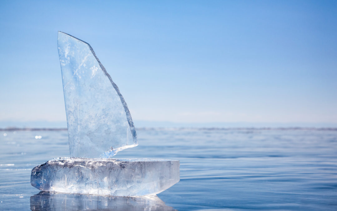 L’impact environnemental des navires polaires
