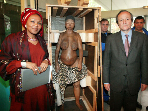 Le Sénat adopte une loi sur la restitution de restes humains présents dans les collections des musées français