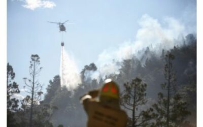 Argentine: un incendie détruit 600 hectares d’un site Unesco (L’Obs – AFP, 27/1/2024)