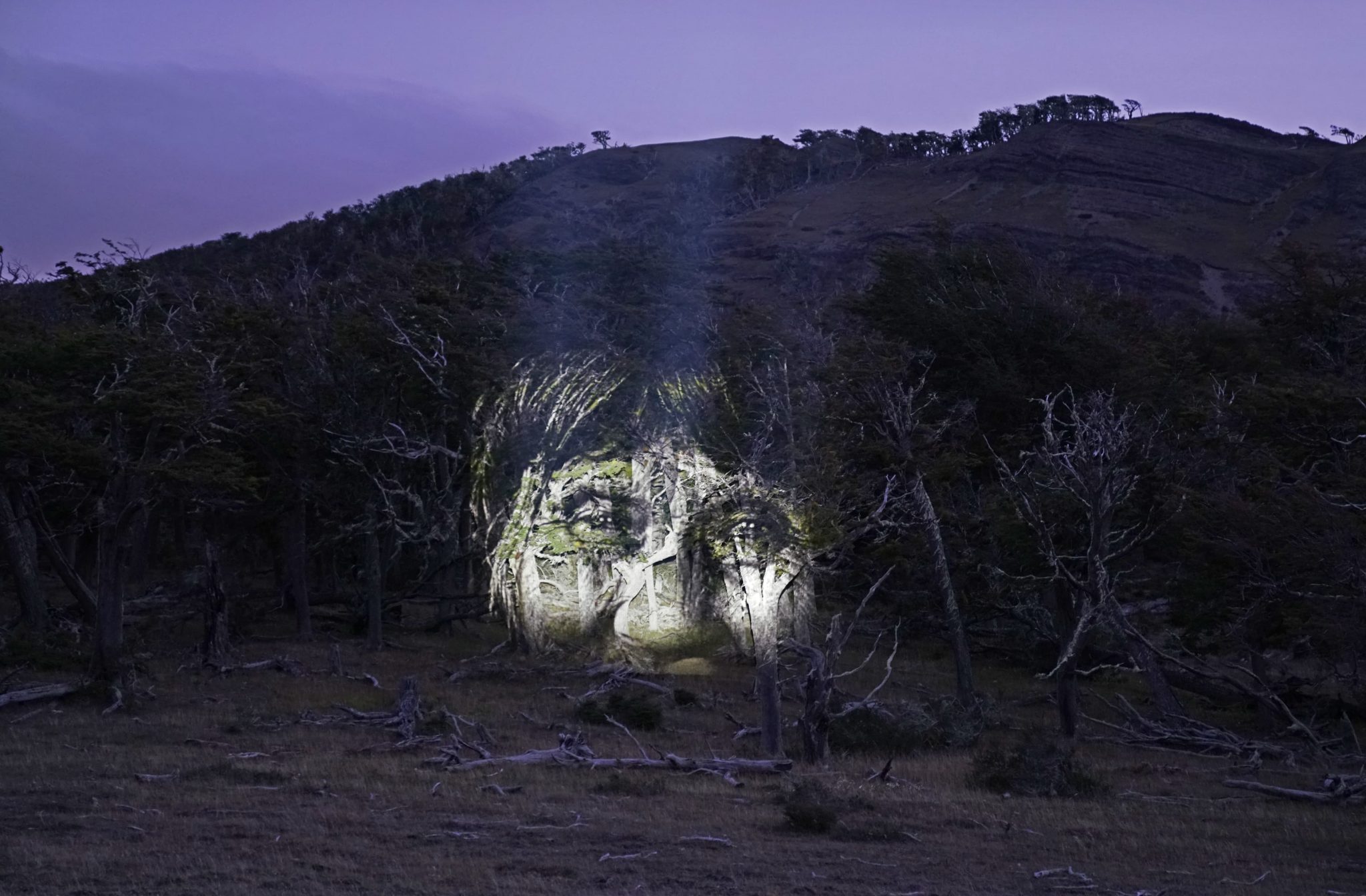 Oeuvre lumineuse pour la reconnaissance et la réparation du peuple selk’nam (Obra lumínica por el reconocimiento y la reparación del pueblo selknam, El Mostrador, 2/2/2024)