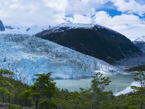 Canaux de Patagonie, Irlande, Ecosse et stages haute mer… Le programme des stages 2024-2025 est en ligne !