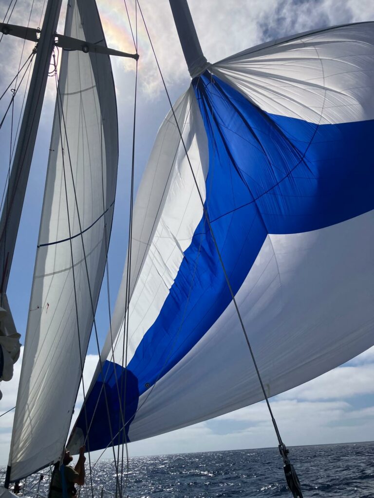 Spinnaker Milagro 1