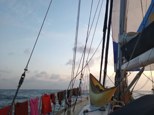 [Cap au Sud #7] Traversée de l’Atlantique 1/2 : du Cap Vert à l’archipel de Sao Pedro et Sao Paulo (Brésil)
