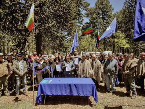 Alors qu’en Argentine les droits des peuples autochtones se perdent, au Chili, la co-gouvernance mapuche est accordée dans un parc national (18/12/2024 par Kay Pacha / Equipe Pueblos Originarios du SERPAJ, “Mientras en Argentina se pierden derechos indígenas, en Chile se otorga co-gobernanza Mapuche en un parque nacional”)