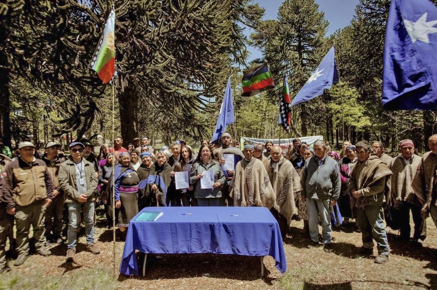 Alors qu’en Argentine les droits des peuples autochtones se perdent, au Chili, la co-gouvernance mapuche est accordée dans un parc national (18/12/2024 par Kay Pacha / Equipe Pueblos Originarios du SERPAJ, “Mientras en Argentina se pierden derechos indígenas, en Chile se otorga co-gobernanza Mapuche en un parque nacional”)