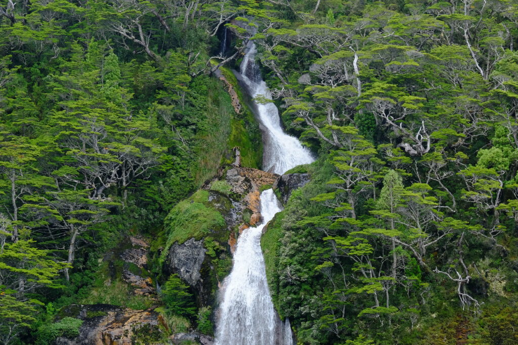 cascade dans la forêt native des canaux de patagonie lors d'une expédition en voilier au cap horn