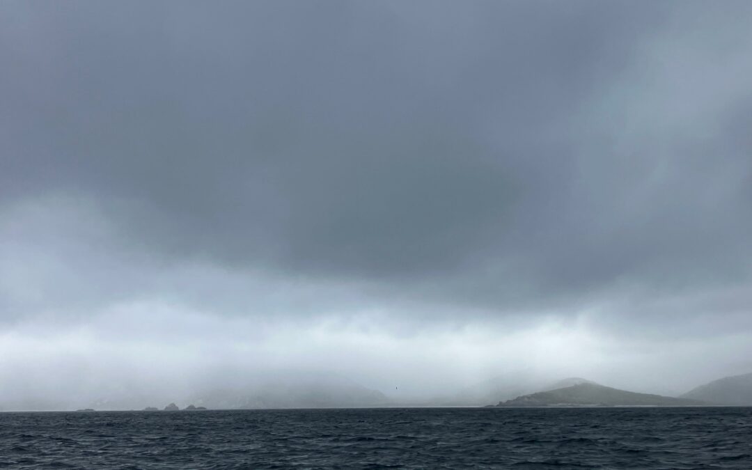 La péninsule Mitre : une réserve naturelle de tourbières, montagnes et forêts sub-antarctiques