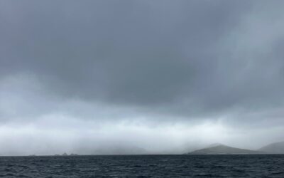 La péninsule Mitre : une réserve naturelle de tourbières, montagnes et forêts sub-antarctiques