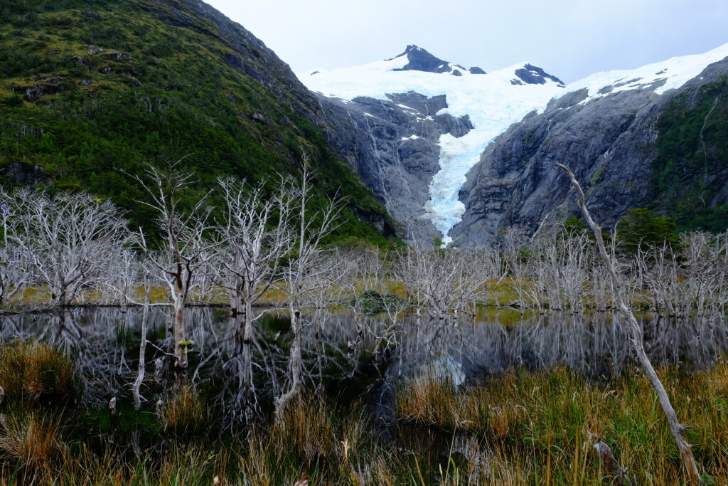 lac créé par les castors au pied d'un glacier de patagonie chili expédition en voilier reserve naturelle cap horn