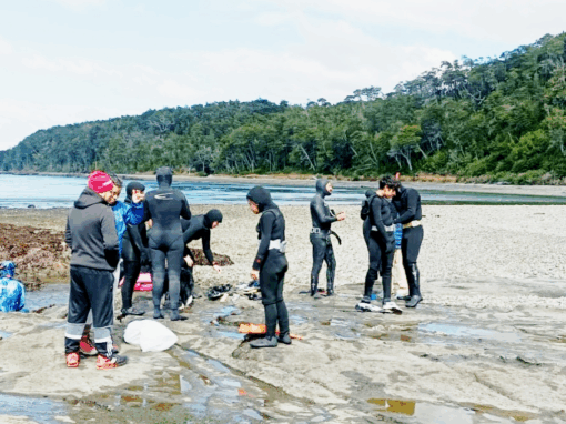 La communauté Kawésqar Nómades del Mar participe à un atelier de plongée « pour la mémoire historique du territoire » (Journal UChile, 04/05/2025 “Comunidad Kawésqar Nómades del Mar participa de taller de buceo “por la memoria histórica del territorio”)