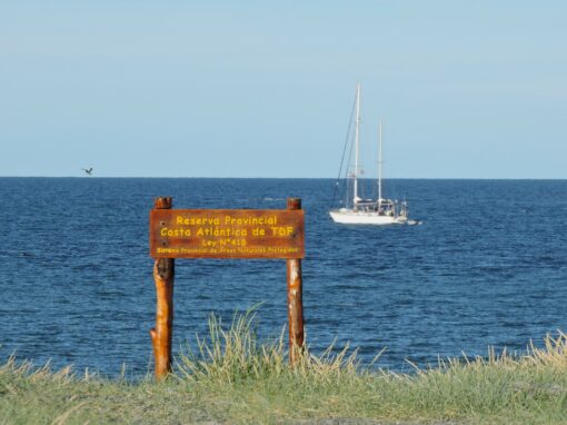 [Cap au Sud #12] de Buenos Aires (Argentine) à Puerto Williams (Chili) Troisième partie