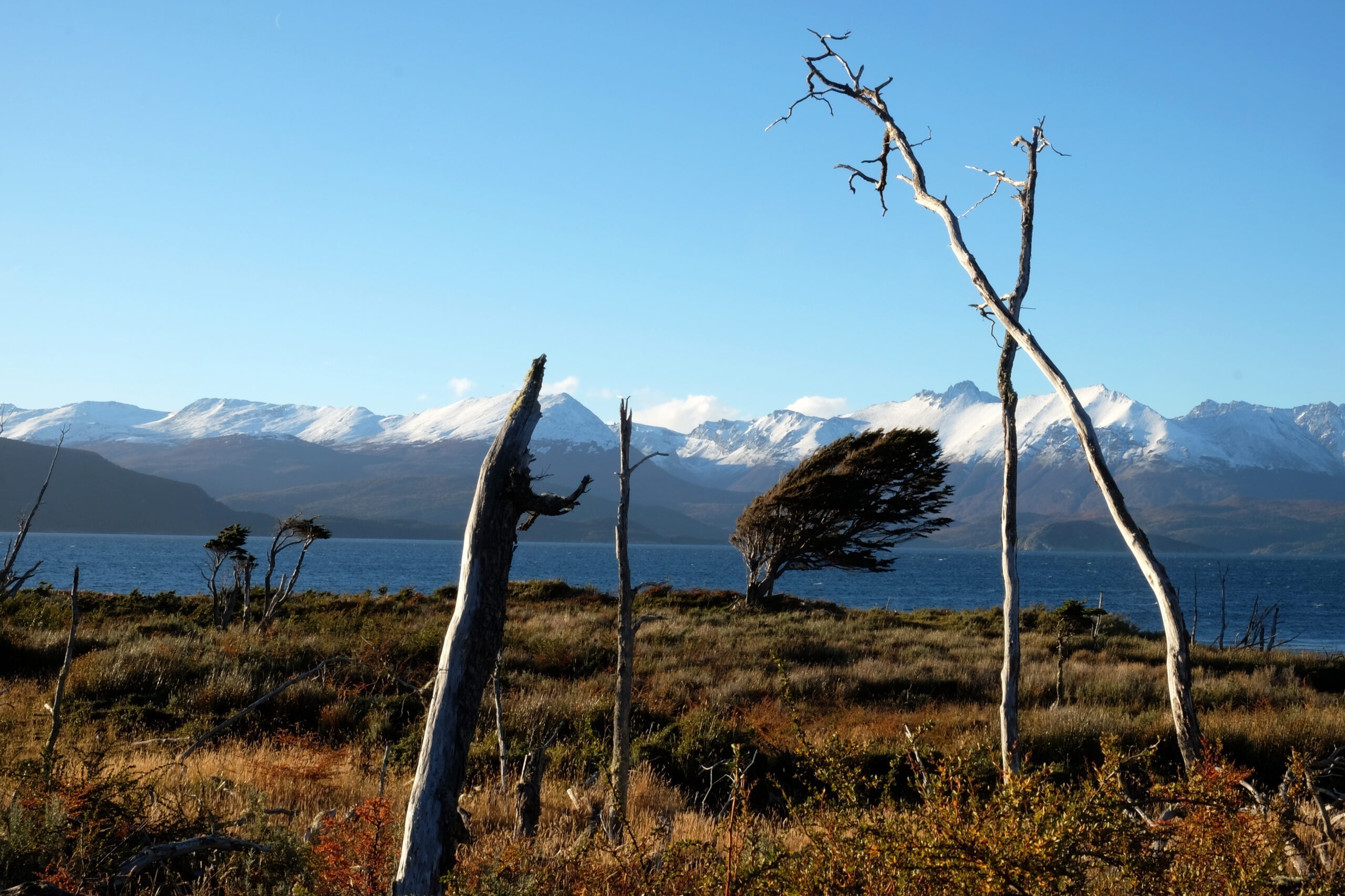 actualités de patagonie