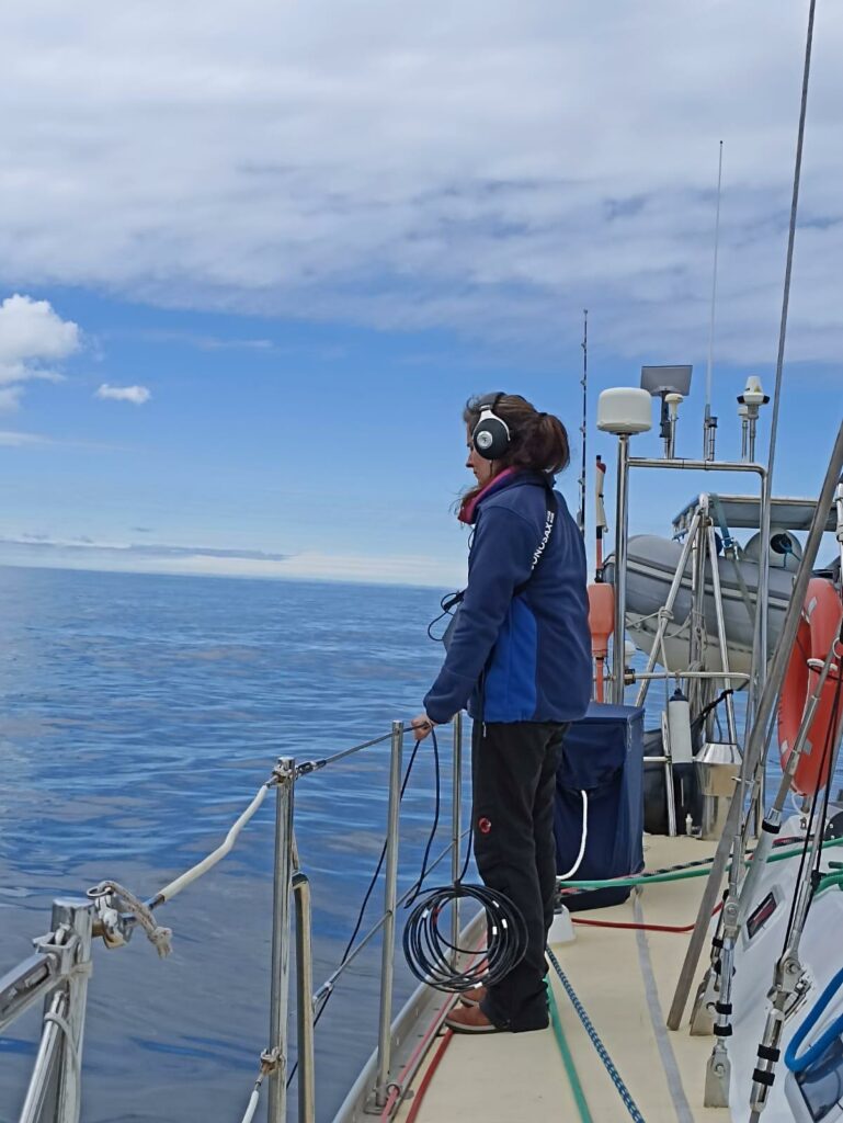 hydrophone rorquals écoute des baleines canal beagle patagonie terre de feu ushuaia