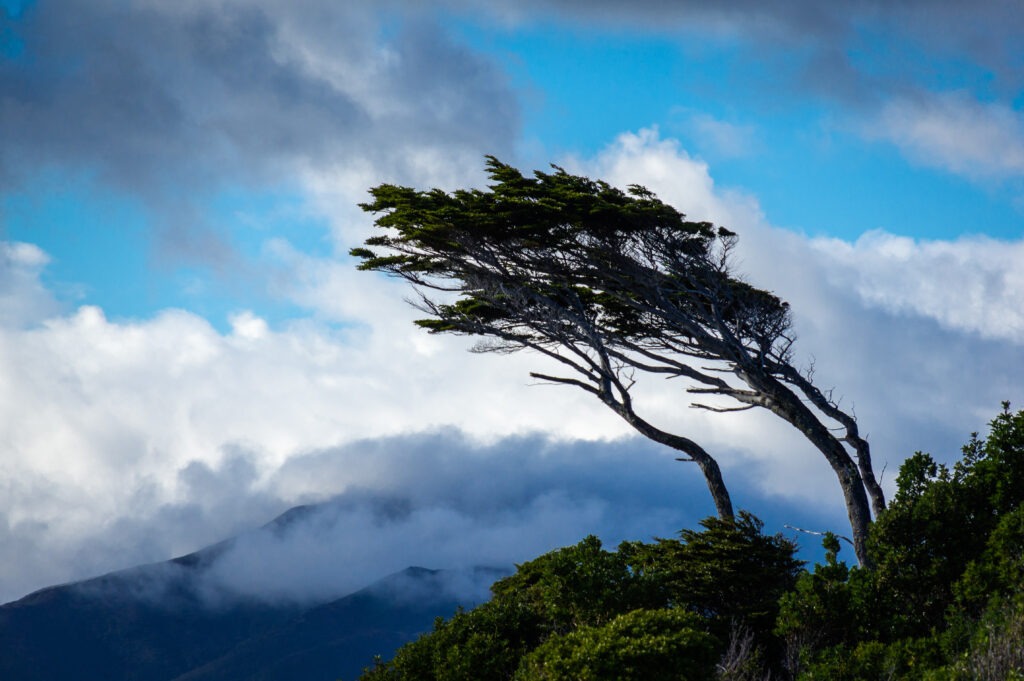 Patagonia is a massive, untouched, wind blown and raw land of southern South America. It is typically divided into three principle sections: northern, central, and southern. The climate of southern Patagonia is most extreme. On the Chilean side it is heavily influenced by the close proximity of the ocean. Antarctic currents with average temperatures of 4°C flow past the coast and violent westerlies bring the famous Patagonia wind along with staggering quantities of snow or rain.