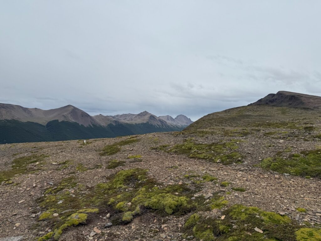 végétation patagonie montagne randonnée ile navarino