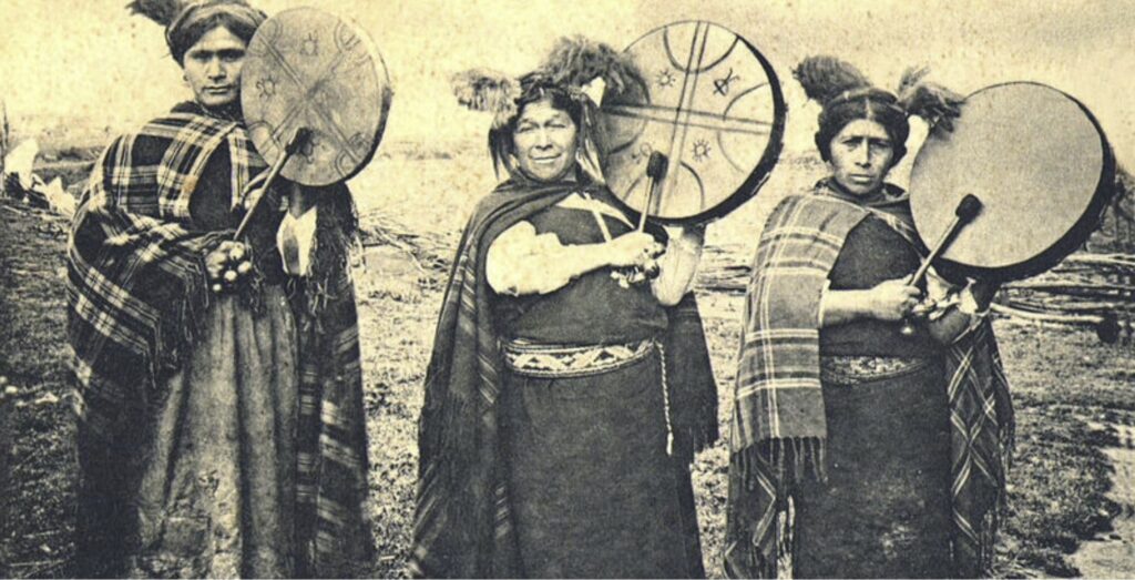 conocimiento mapuche conservacion de la naturaleza comunidades indigenas sur de chile