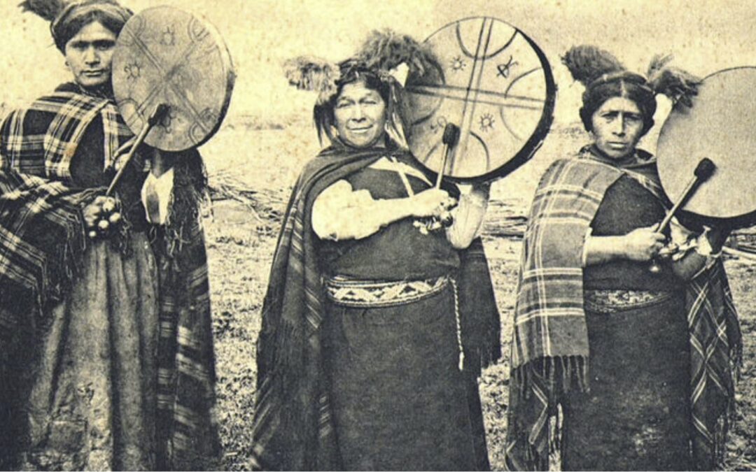 Diálogo entre una machi y ecólogos abre nuevas rutas para integrar el conocimiento mapuche en la conservación de la naturaleza