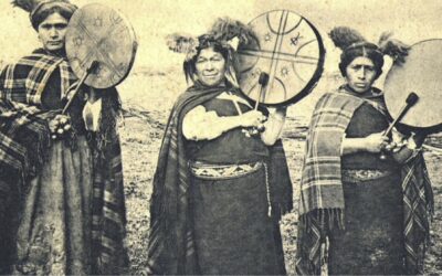 Diálogo entre una machi y ecólogos abre nuevas rutas para integrar el conocimiento mapuche en la conservación de la naturaleza