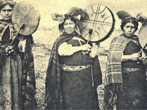 Le dialogue entre une machi et des écologues ouvre de nouvelles voies pour intégrer le savoir mapuche dans la conservation de la nature