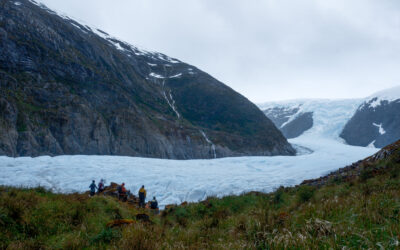 DOSSIER CANAUX DE PATAGONIE : Glaciologie et systèmes cryosphériques 