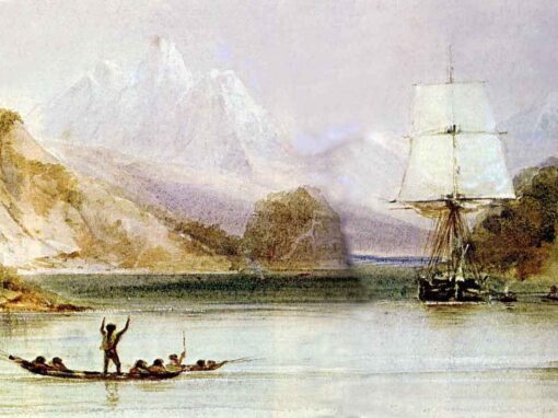 Darwin en Patagonie : ses expéditions au sud du détroit de Magellan